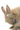 rabbit.さん rabbit.さん