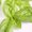*basil*����