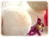 �v���C�o�V�[ / Uv�t�F�C�X�p�E�_�[ 50�iby �����������j