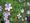 emesc����