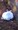 �R�c�}������