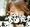 KAORU���c������
