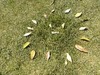 いちにさんぽさん
