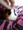 (�K�ցK)yuki����