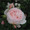 lindenblossom����