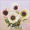 whitek����