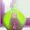 waravie����