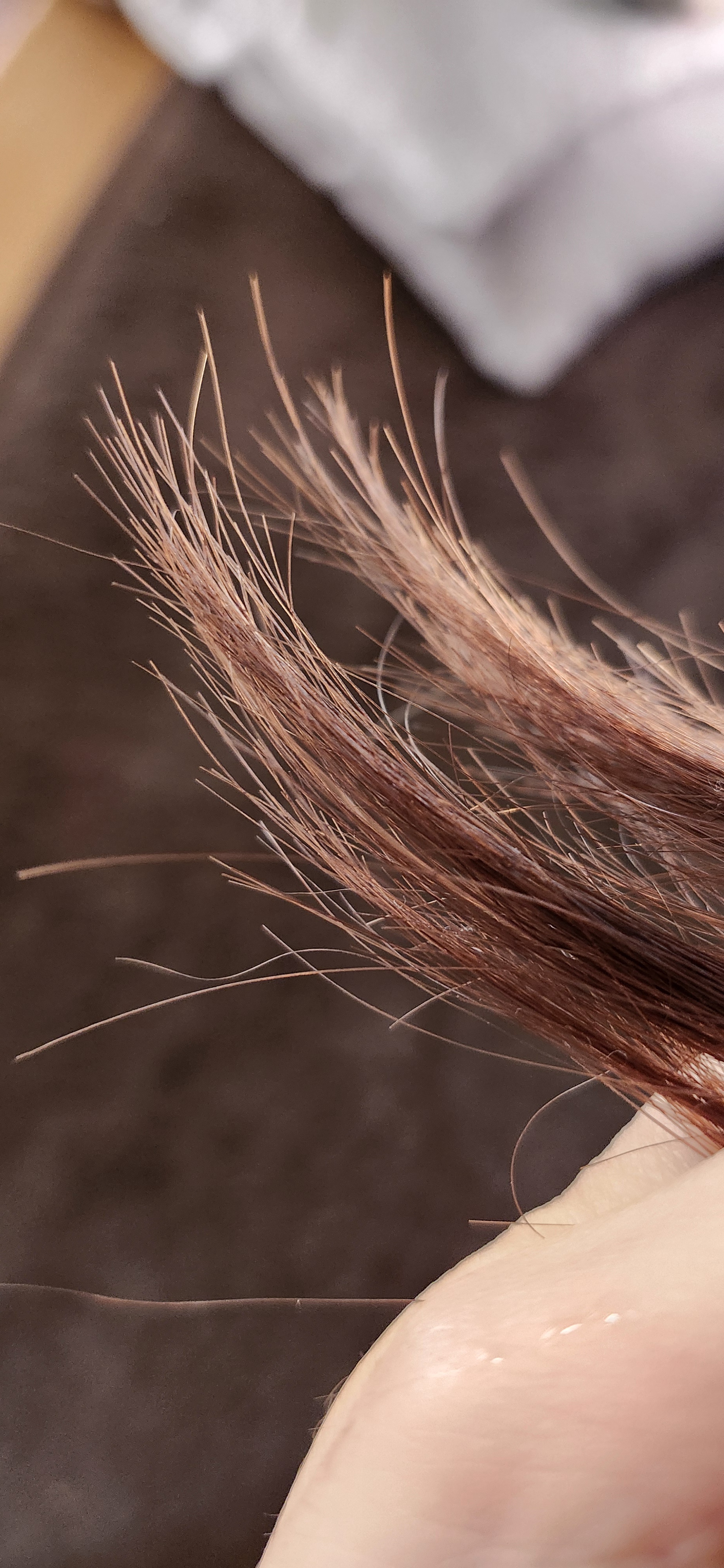 毛先の痛みby 匿名さんの画像