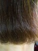 2011-07-08 10:24:46 by あこがれのバービーさん 2011-07-08 10:24:46 by あこがれのバービーさん