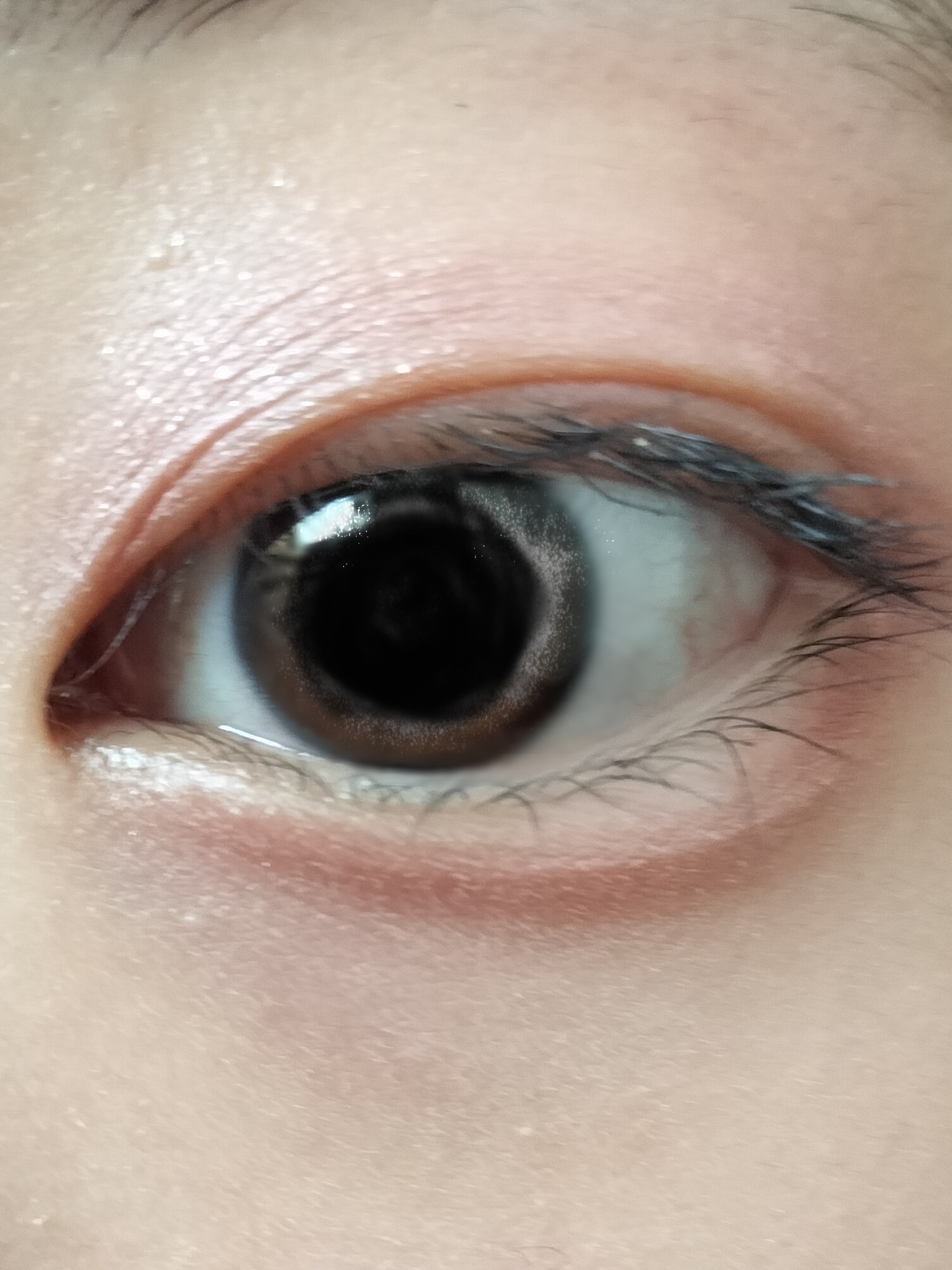 プティパレットアイズ有識者の方々へby おかしおいしさんの画像