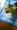 hato69����