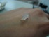 蒟蒻スクラブ - 2010-03-18 23:32:51 蒟蒻スクラブ - 2010-03-18 23:32:51