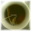 2012-03-18 08:20:25 by e.r.nさん