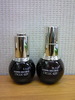 �V���{�g����r by �Ԃ��`����1983����