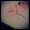�G�h�E�N���~�R����
