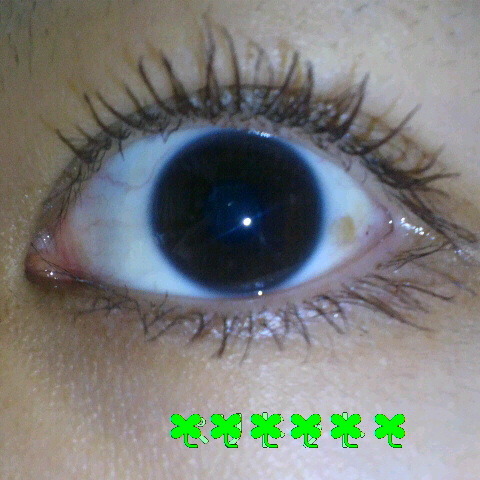 マスカラについて by ●piano●さん の画像