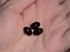 2011-09-22 15:57:38 by 整備士ママさん 2011-09-22 15:57:38 by 整備士ママさん