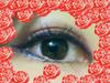 2012-02-02 14:41:11