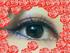 2012-02-02 14:41:11 by D-Knightさん