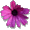 �Q�΄`���R�O����