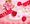 �x���B��pooh����
