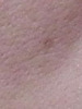 �u�����A�[�W�� / �p���b�g�R���V�[���[ �v���t�F�b�V���i���p�t�H�[�}���X�iby �R�����݂ꂳ��j