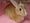 �т݂߂���