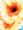 forbiddenfruit����
