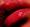 cocoabutter����