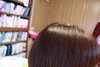 �v���e�B�A / �A�J���[�iby ��܂��䂳��j