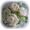 �g���b�L�[����