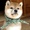 ねるんコ。さん