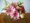 you2345����