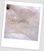 2012-05-27 21:56:03 by ★kongkong★さん