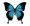 magii����