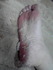 2012-01-29 17:00:56 by タケイコさん 2012-01-29 17:00:56 by タケイコさん