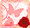 **HaRu**����