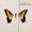 �G�~���B����