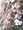 roxette_����