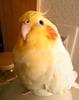*もこ*♪さん