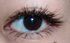 2012-01-02 22:41:28 by yumehanaさん