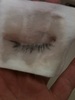 ������ / �p�[�t�F�N�g�����[�o�[�i�A�C�����b�v�j�iby asa0418����j
