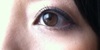 SUQQU(�X�b�N) / �u�����h �J���[ �A�C�V���h�E�iby sachiran����j