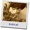 nanase*さん nanase*さん