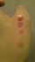 2012-04-26 22:40:47 by りばぷぅさん 2012-04-26 22:40:47 by りばぷぅさん