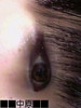 2011-02-07 20:14:32 by 中原まいまいさん 2011-02-07 20:14:32 by 中原まいまいさん