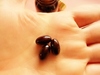 �v�����R / �t�R�L�T���`���X�[�p�[DIET+�iby �q�f�R����j