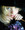 しゅりんぷーさん しゅりんぷーさん