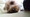 mokko@����