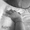 fujico_245����